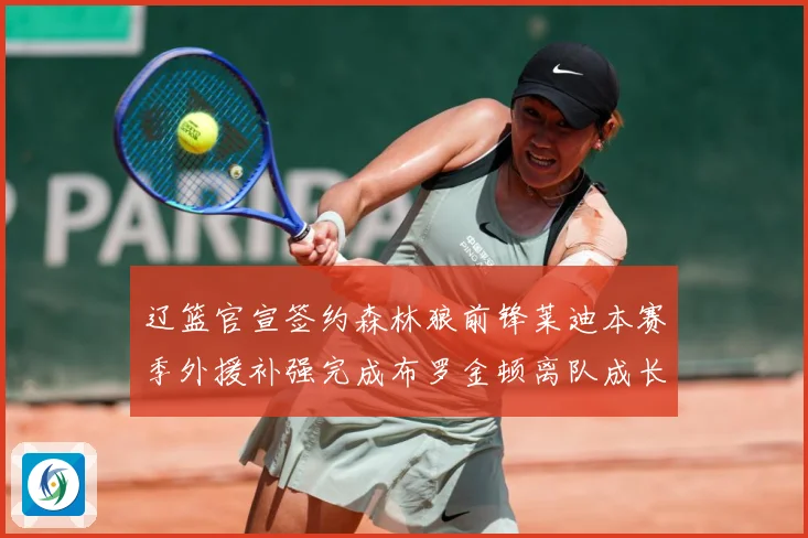 辽篮官宣签约森林狼前锋莱迪本赛季外援补强完成布罗金顿离队成长观察